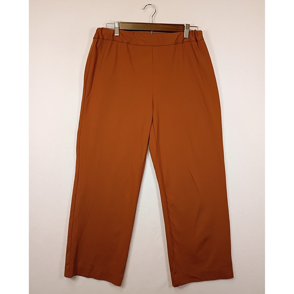 Minimalist Worthington Womens Small Burnt Orange Stretch Pull On Straight Pants